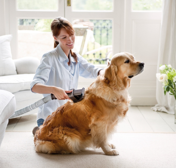 Perfect Pet Grooming Vaccum