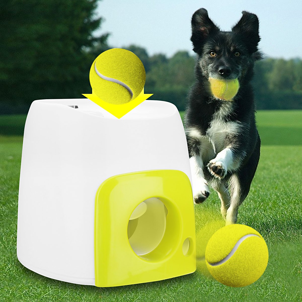 Automatic Dog Treat Dispenser