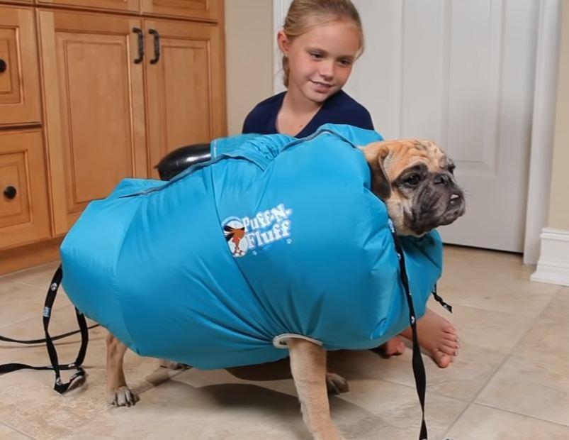 Puff-N-Fluff Dog Dryer