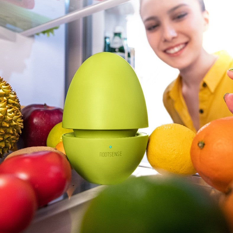 Mini Rechargeable Refrigerator Purifier, with Ozone Sterilization, Odor Eliminator and Indicator Light, for Food Preservation