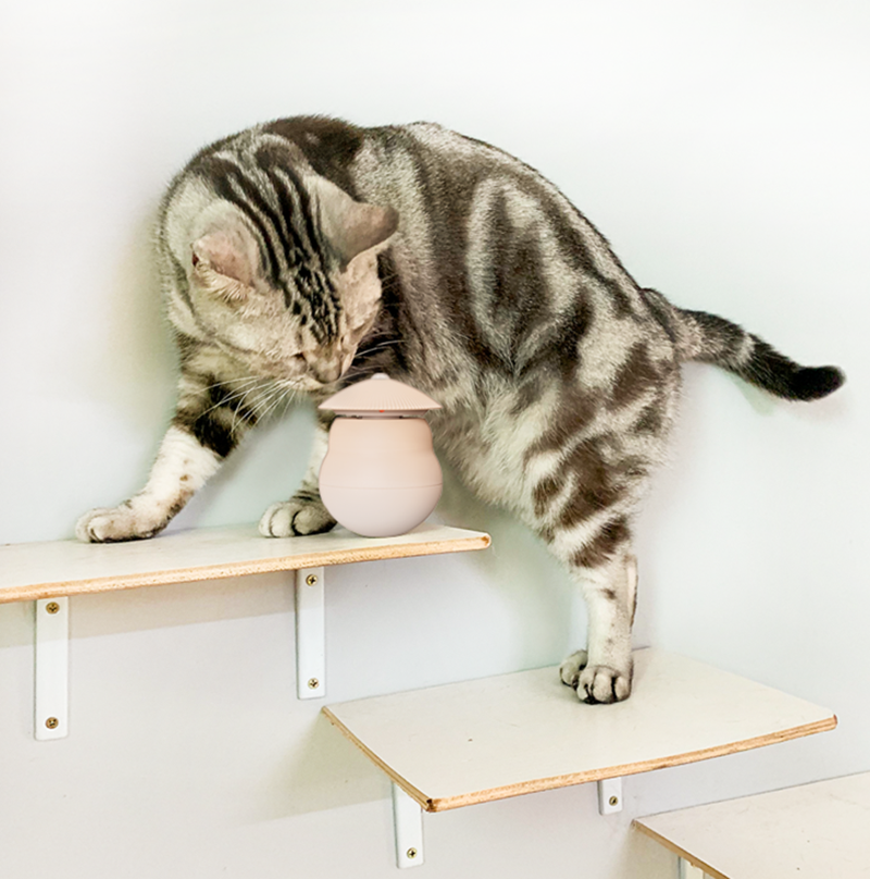 Automatic Laser Infrared Cat Teaser Toy