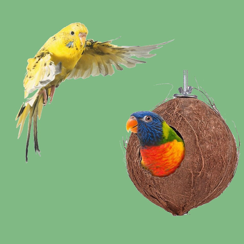 Coconut Shell Bird Nest with Wood Ladders, for Parrot, Budgies, Parake ...