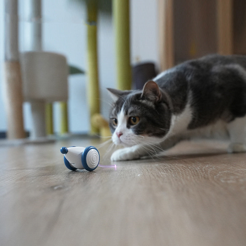 Electric Smart Cat Toy