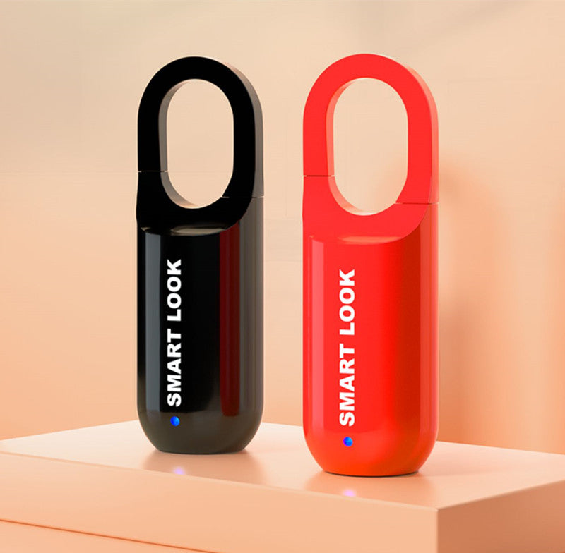 Small Household Fingerprint Lock