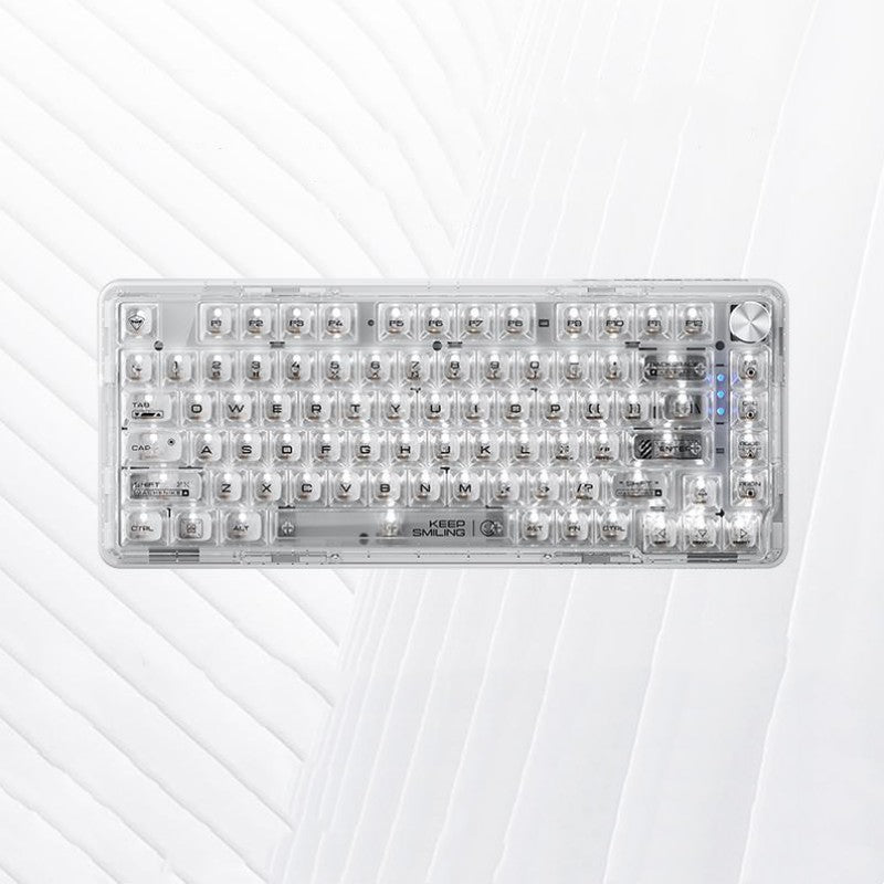 Wired Transparent Keycap Casket Mechanical Keyboard