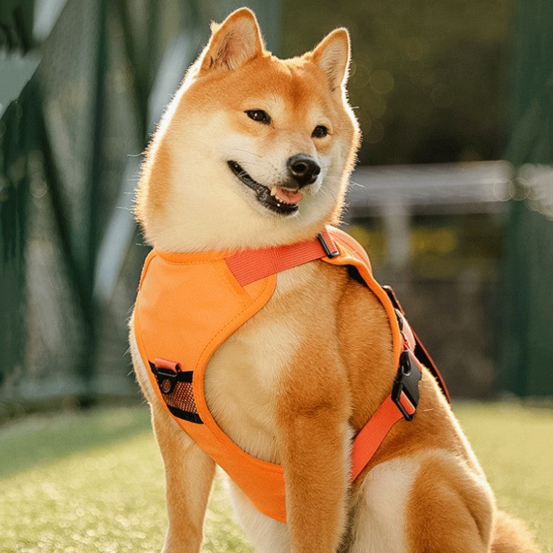 Pet Chest-Back Integrated Automatic Retractable Leash