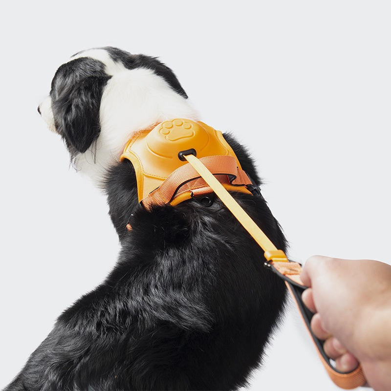Pet Chest-Back Integrated Automatic Retractable Leash
