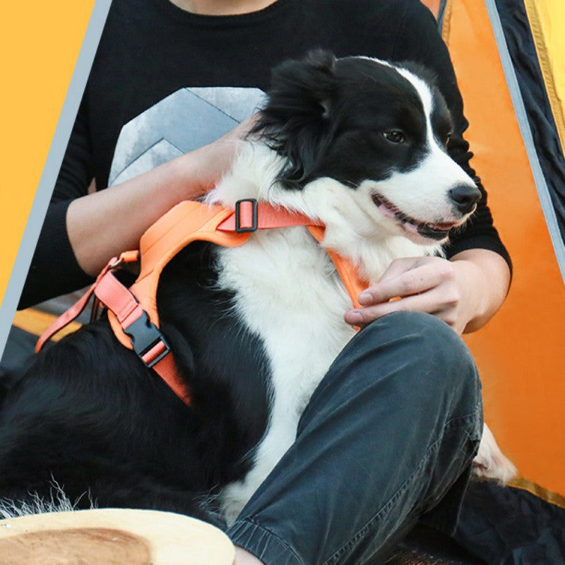 Pet Chest-Back Integrated Automatic Retractable Leash