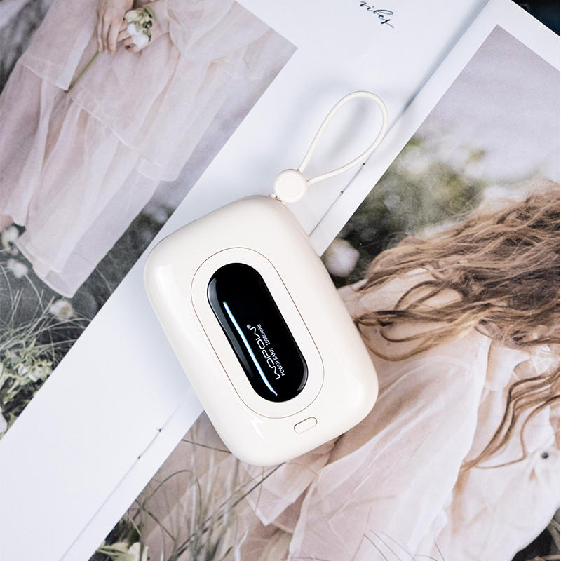 10000mAh Built-in Dual Cable Power Bank