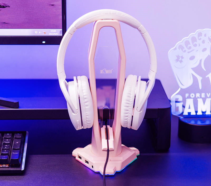 Multi-Functional USB Hub Stand