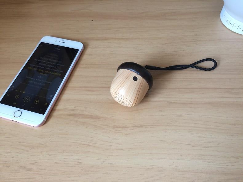 The World's Smallest Bluetooth Speaker With Built in Microphone