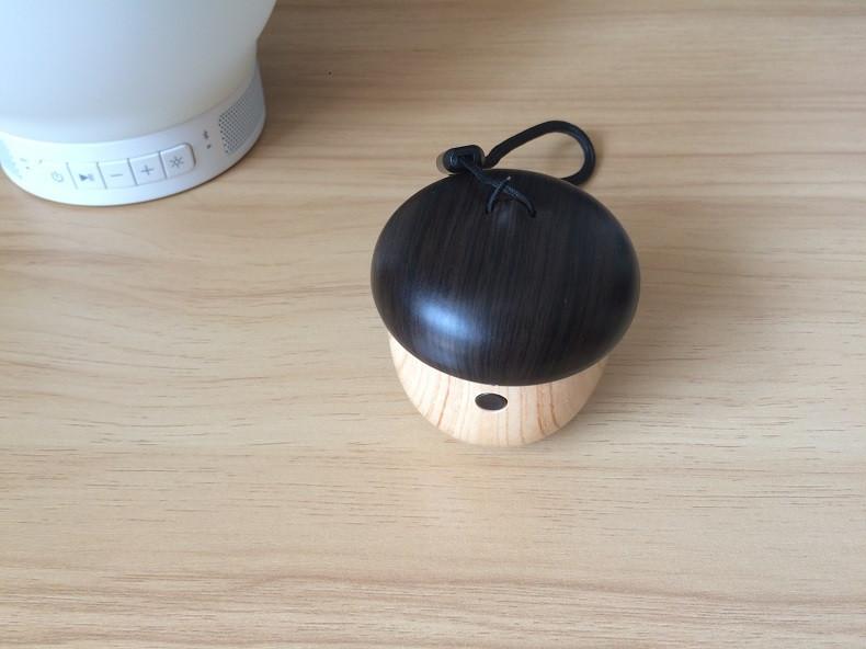 The World's Smallest Bluetooth Speaker With Built in Microphone
