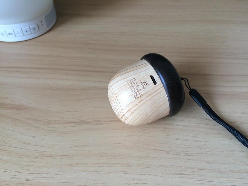 The World's Smallest Bluetooth Speaker With Built in Microphone