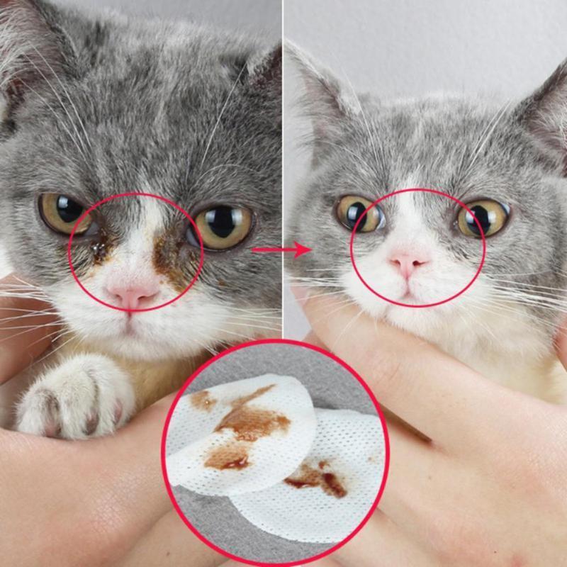 100PCS/Set Pet Eye Grooming Wipes