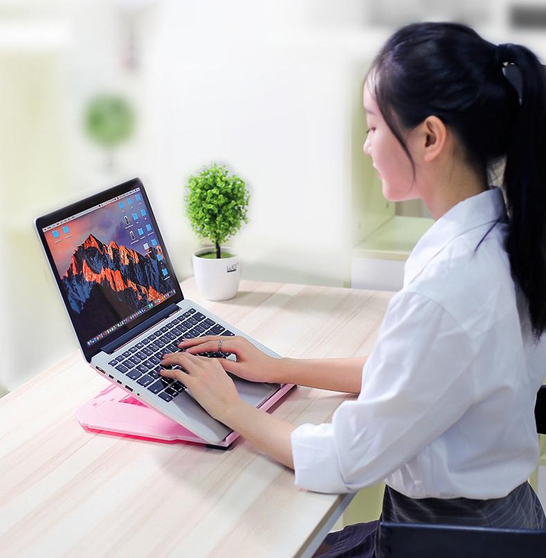 Laptop & Phone Stand to Give You Support at Any Level