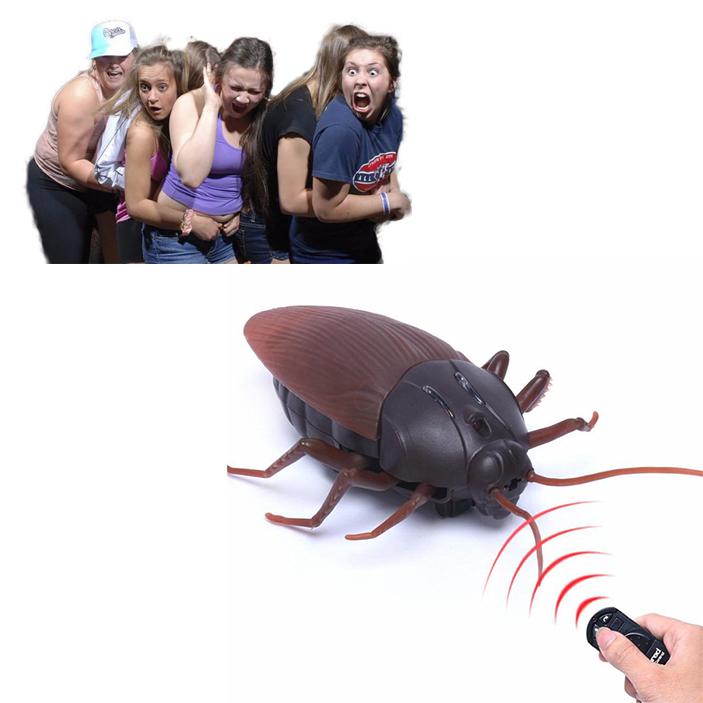 Remote Control Cockroach