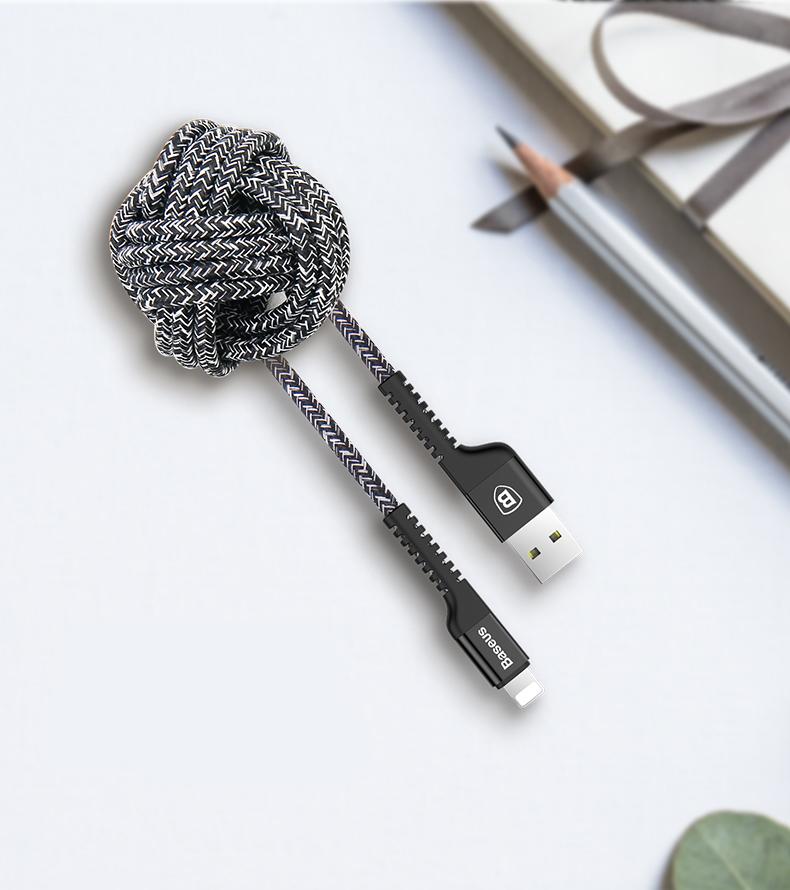 Lifelong Lightning Cable