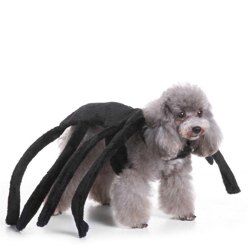 Cute Halloween Dog Costume