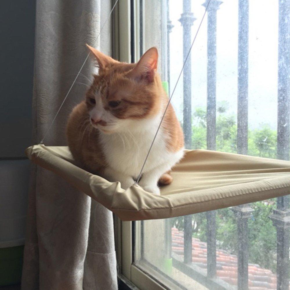 Kitty Window Perch