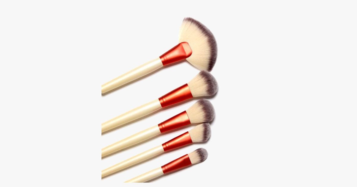 Fierce Tiger 24 Piece Brush Set