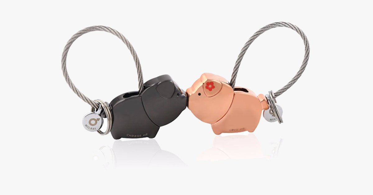 Pig Key Ring For Lovers With Free Gift Box