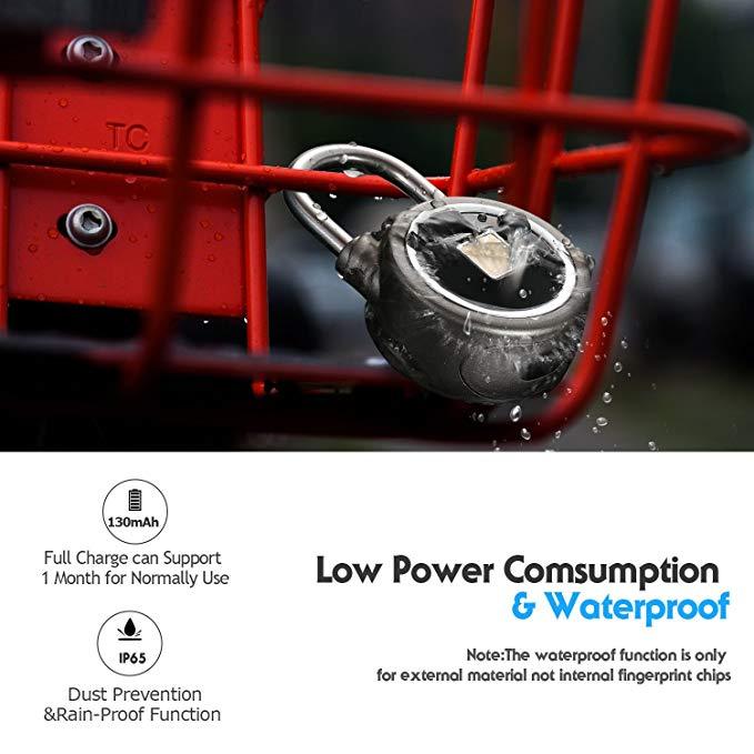 Biometric Padlock