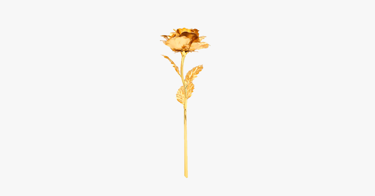Beautiful Gold Roses 24K Gold Dipped Real Rose with Gift Box – Soho Emporium
