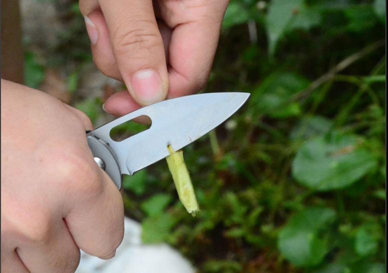 5 Pull out Tools for Repair & Survival