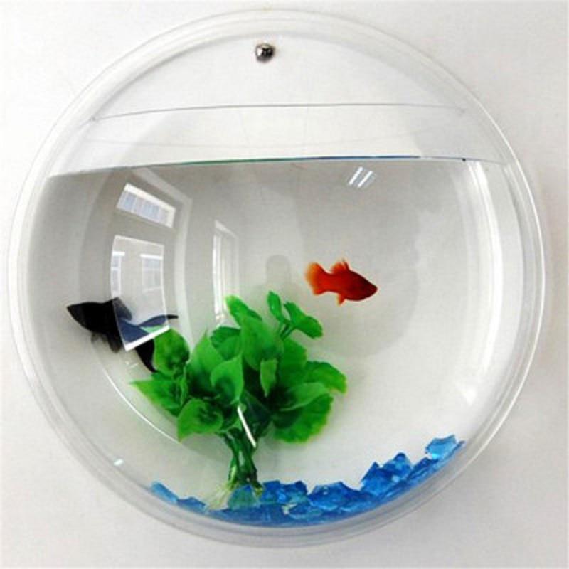 Wall Mounted Hanging Aquarium