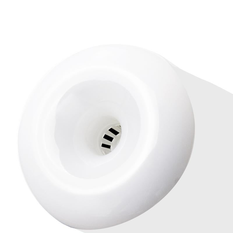 LED Flame Lamp Light Bulb