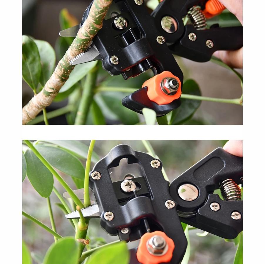 Grafting Cutting Tool