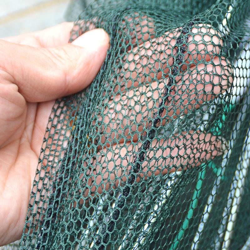 Fish Trap