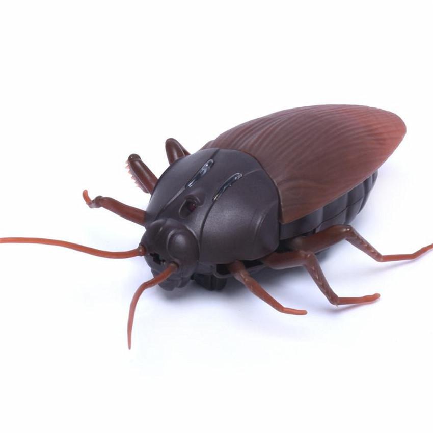 Remote Control Cockroach