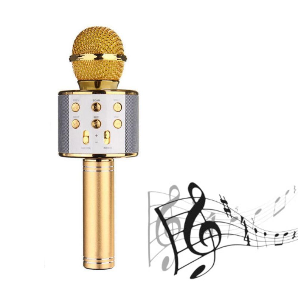 Handheld Karaoke Microphone