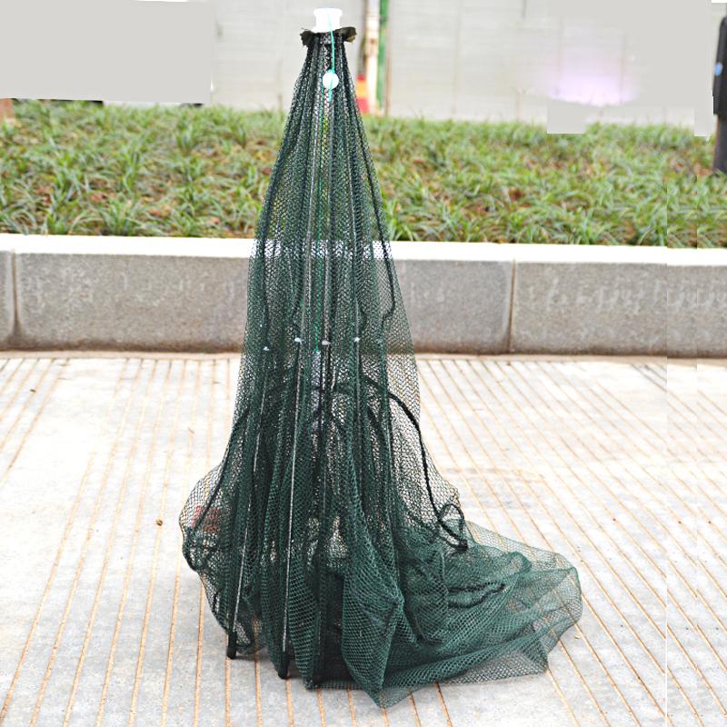 Fish Trap
