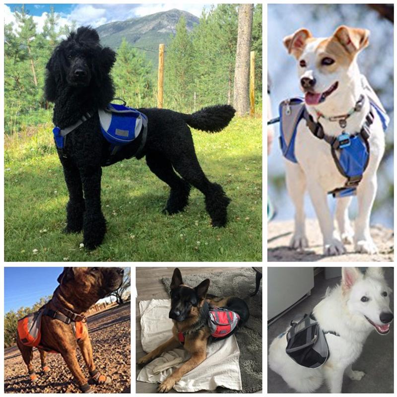 Dog Backpack Harness