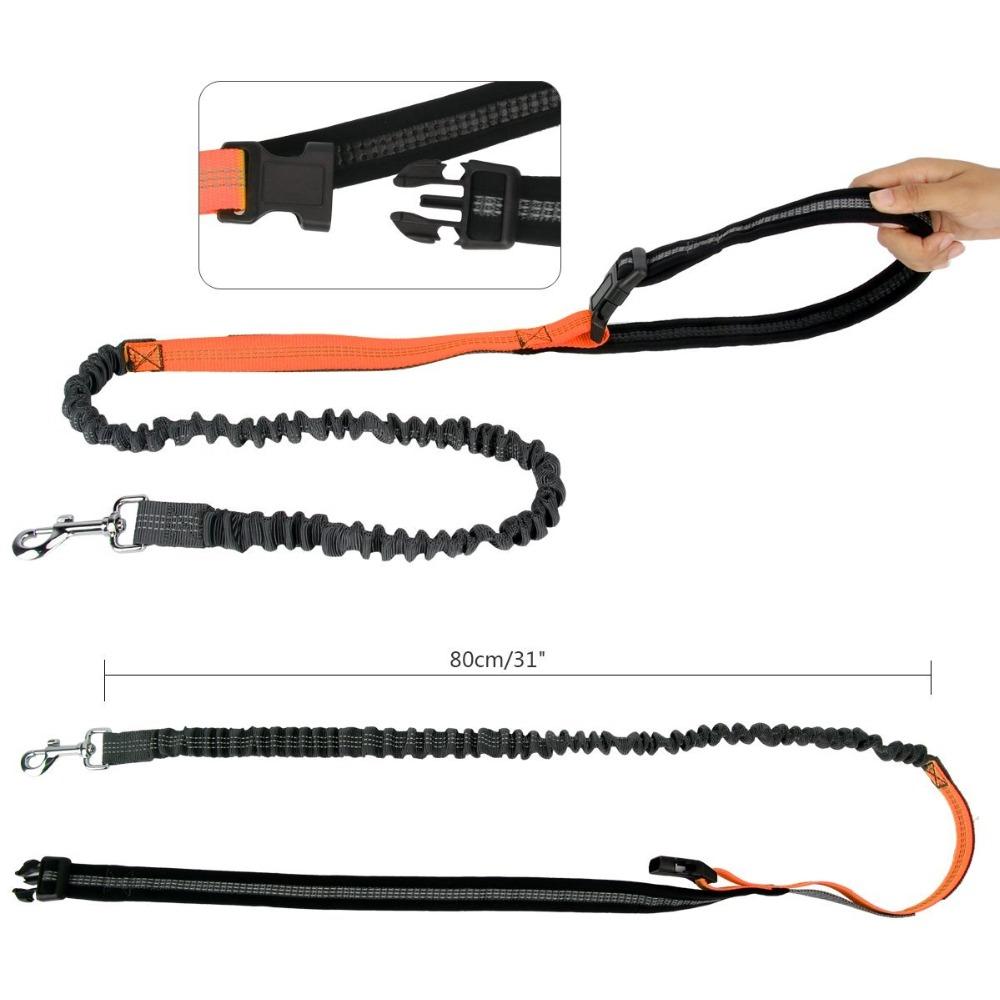 Multi Functional Waist Pouch Dog Leash