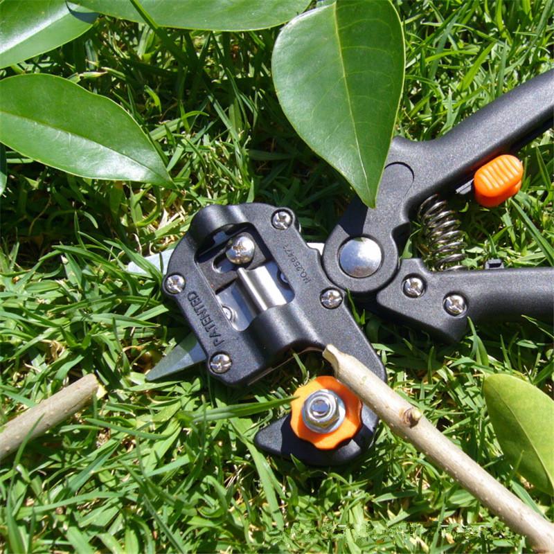 Grafting Cutting Tool