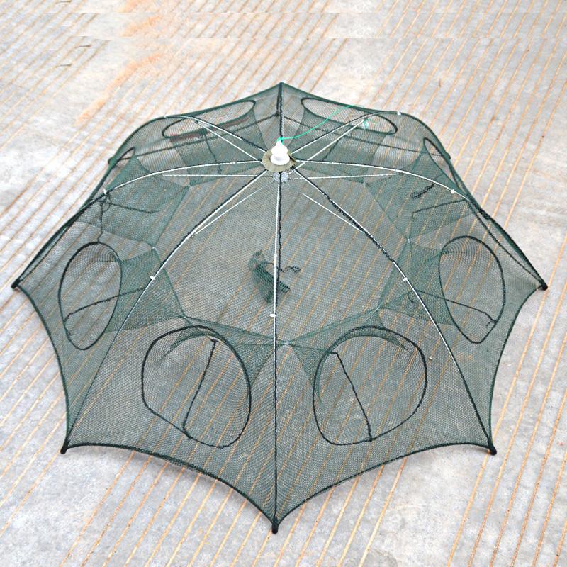 Fish Trap