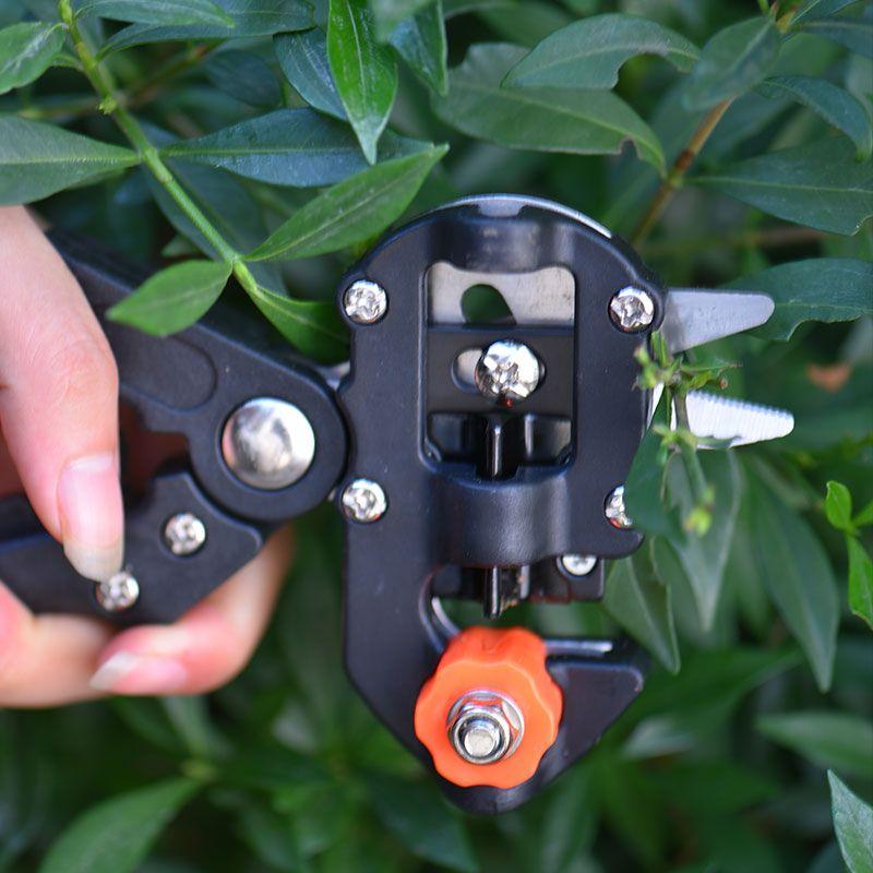 Grafting Cutting Tool