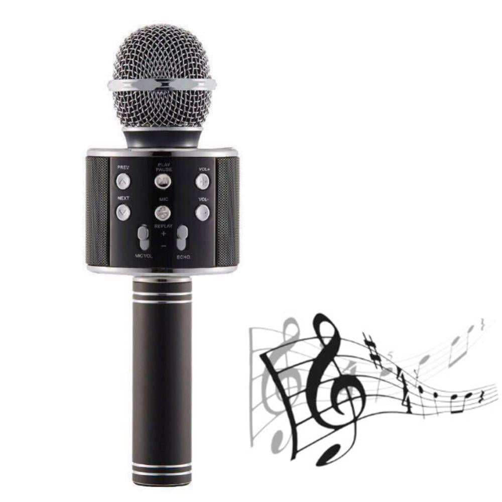 Handheld Karaoke Microphone