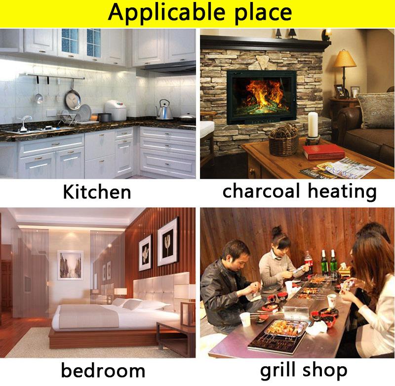 Carbon Monoxide Alarm