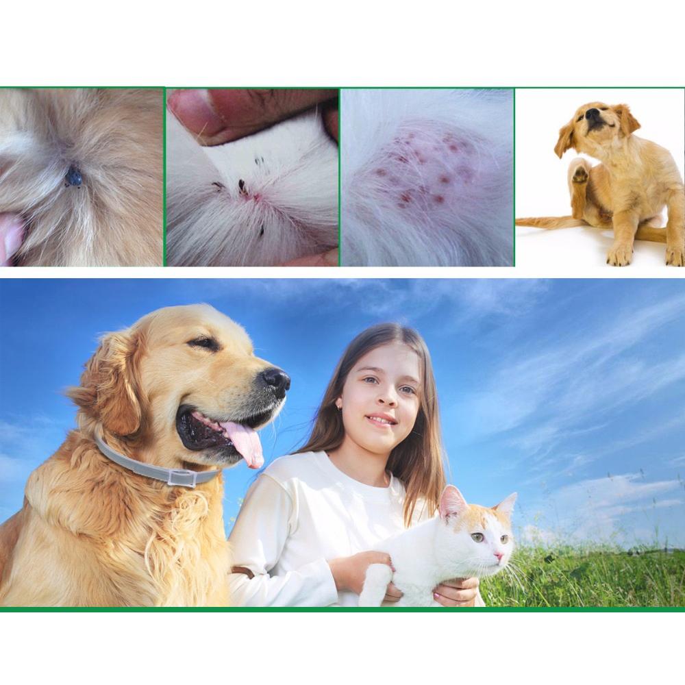 Flea and Tick Collar for Dog