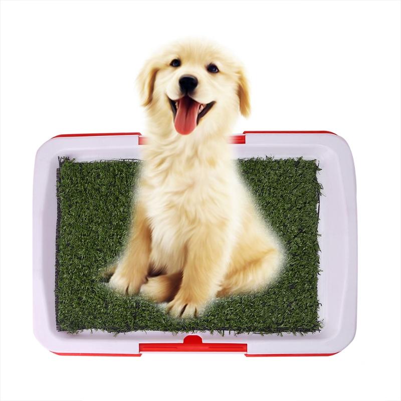 Dog Potty Pads