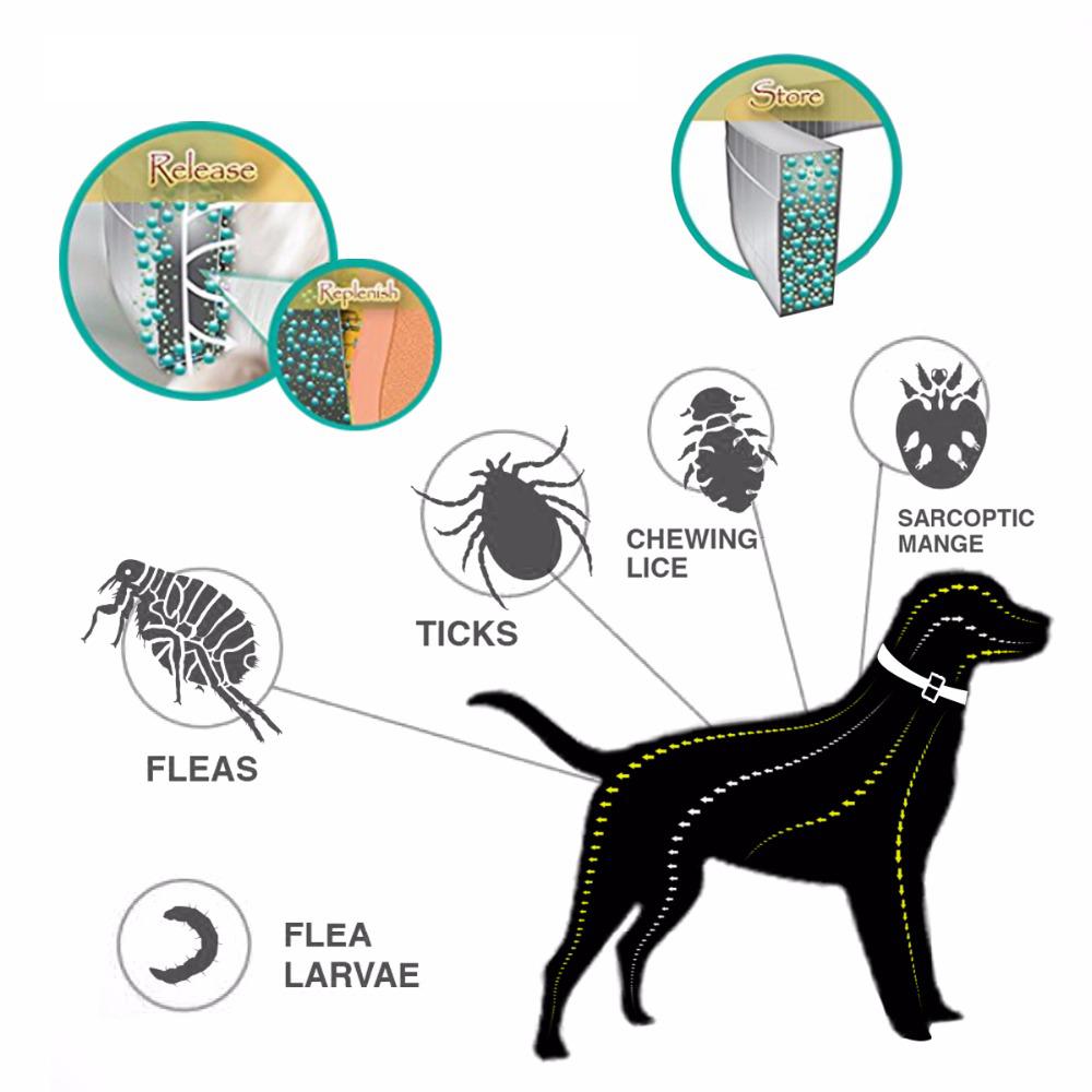 Flea and Tick Collar for Dog