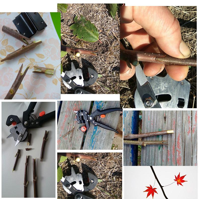 Grafting Cutting Tool