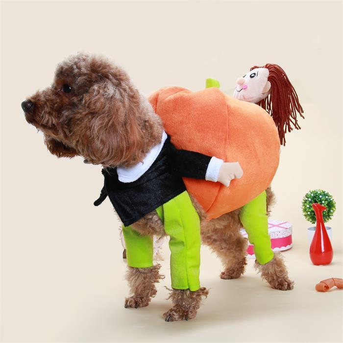 Halloween Pumpkin Dog Costume