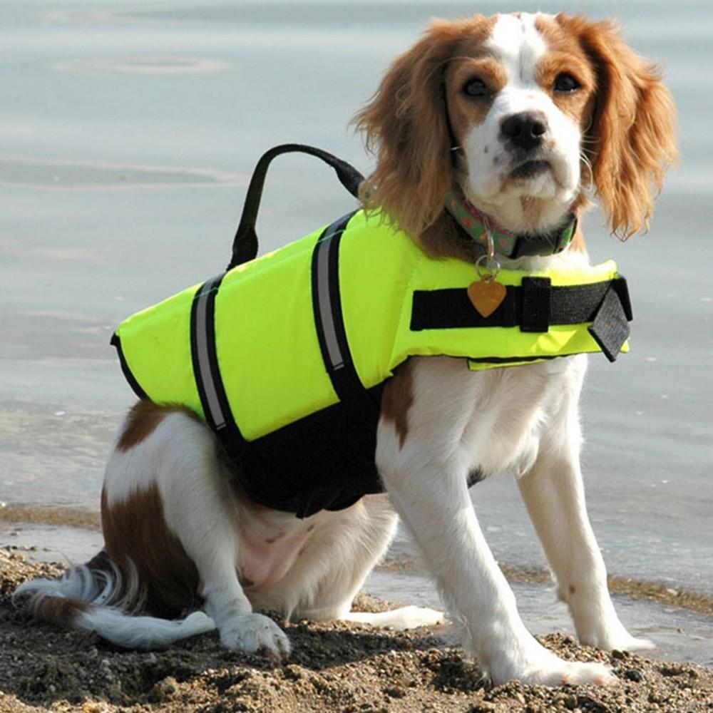 Dog Life Jacket