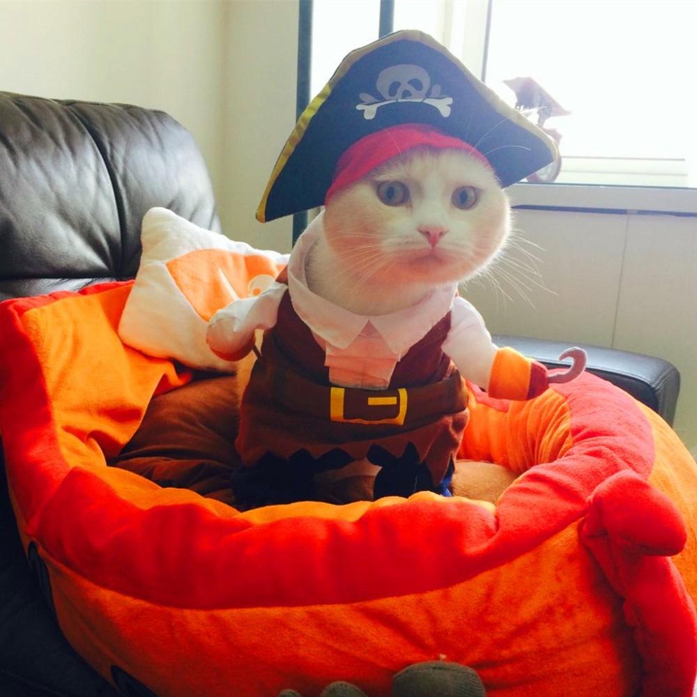 Funny Cat Costume Pirate Suit Corsair