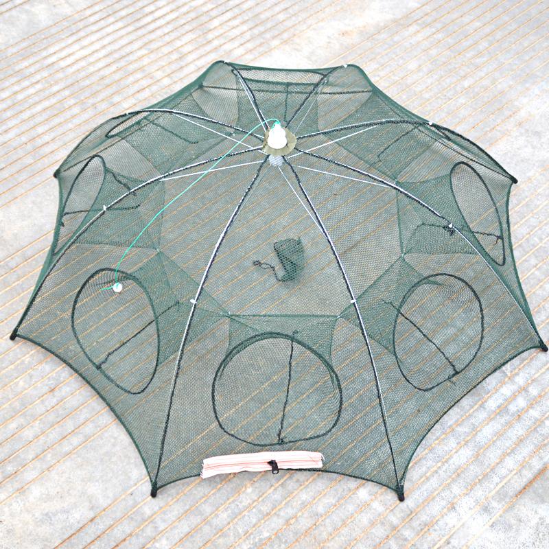 Fish Trap
